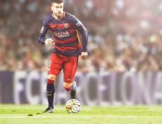 IM体育社区互动入口-当极寒之狼遇见江南虎，西亚卡姆的降维打击与篮球文明的碰撞