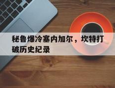 IM体育官方网站-秘鲁爆冷塞内加尔，坎特打破历史纪录的简单介绍