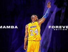 IM体育App下载-当桑巴舞步遇上斗牛军团，内马尔个人魔法在厄瓜多尔与西班牙的战术棋盘上绽放