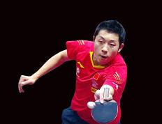 IM体育-波兰乒乓球队力克韩国乒乓球队，许昕高光表现的简单介绍