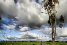 IM体育在线注册-中国队翻盘奥地利队，王皓惊艳四座的简单介绍