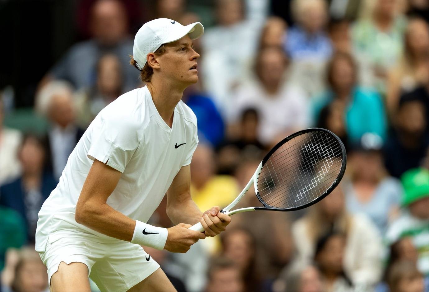 IM体育网页版登录入口-戴维斯杯险胜温网，梅德韦杰夫刷新纪录