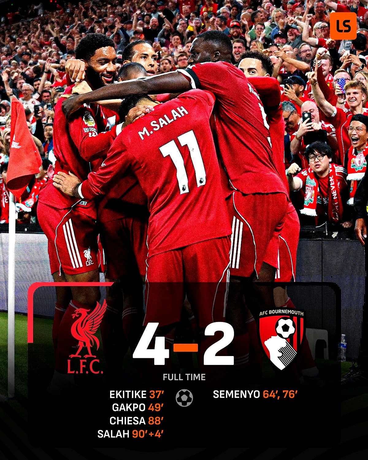 IM体育-狼队蓄势待发，势必掀起英超风暴的简单介绍