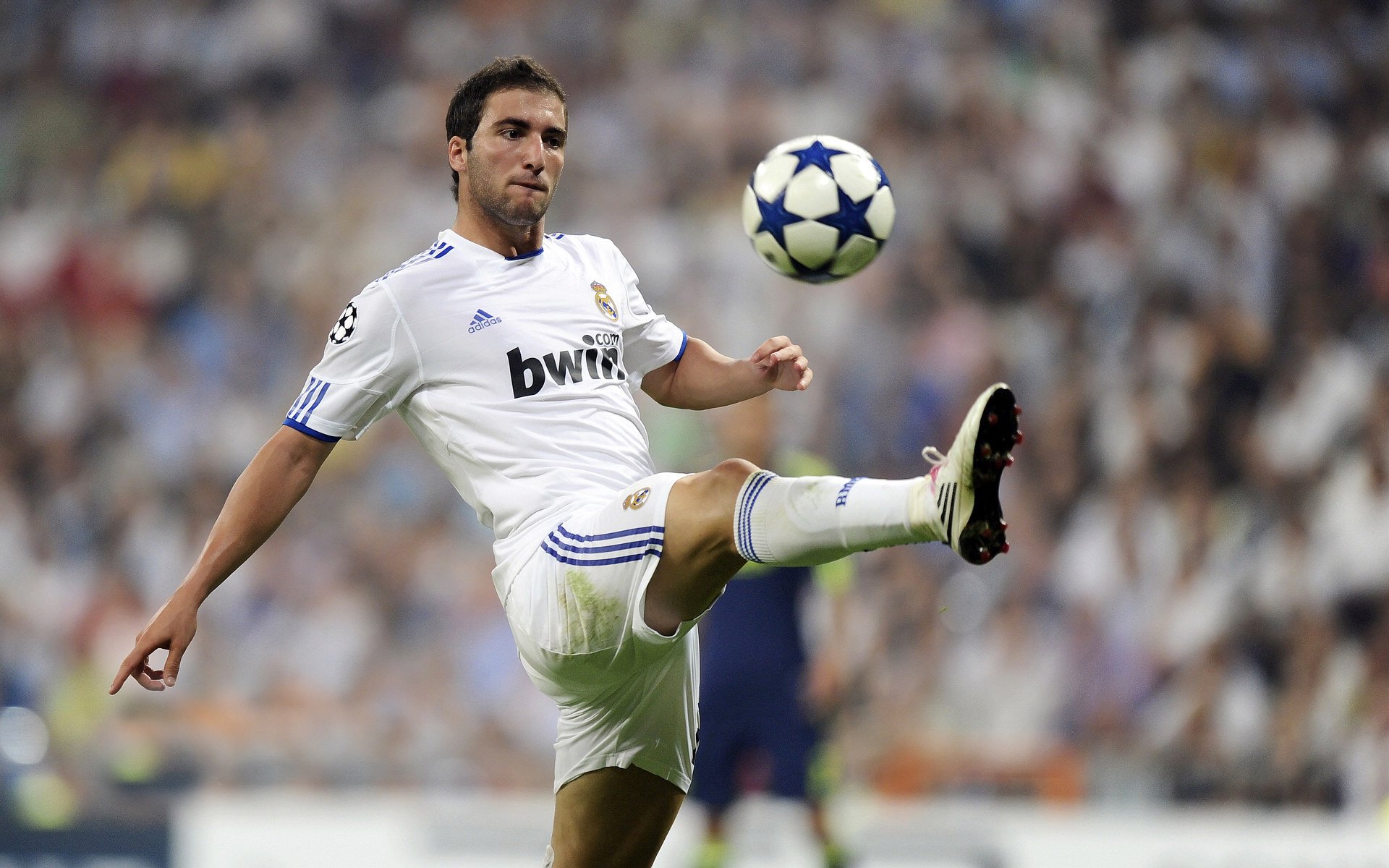 IM体育数据分析平台-当广厦遇上勇士，武切维奇的完美交响曲